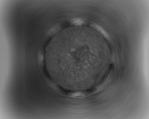 X0000099990365200805301418