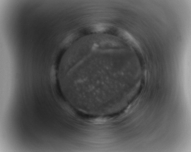 X0000099990366200805301418