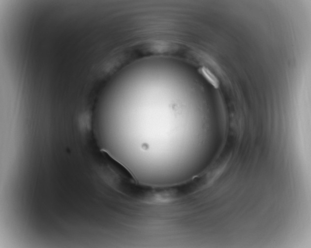 X0000099990368200805301418