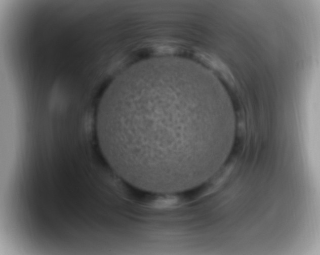 X0000099990369200805301418