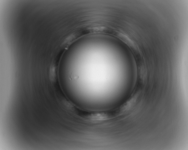 X0000099990378200805301418