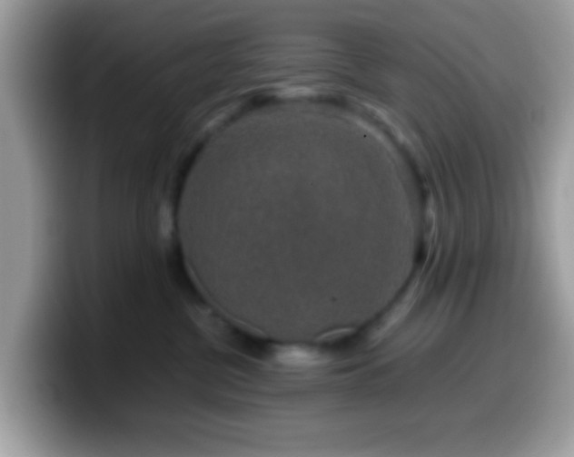 X0000099990380200805301418