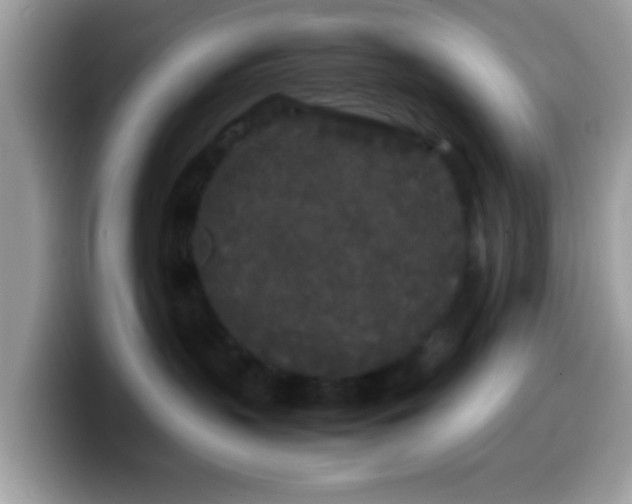 X0000099990383200805301418