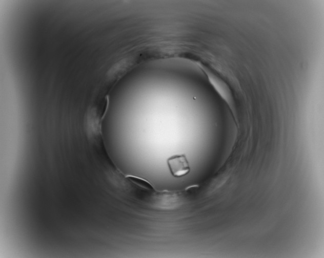 X0000099990384200805301418