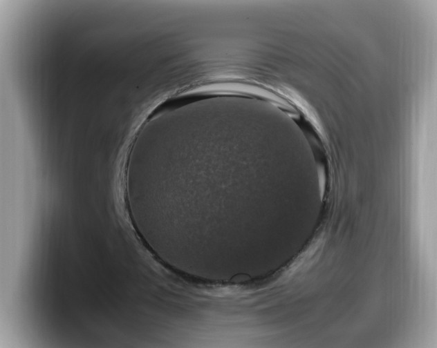 X0000099990385200805301417