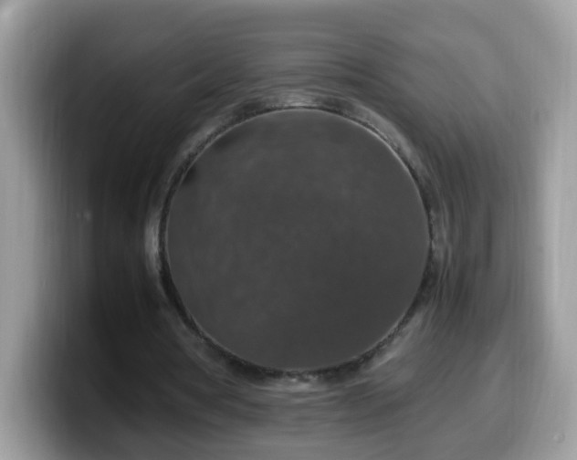 X0000099990386200805301417