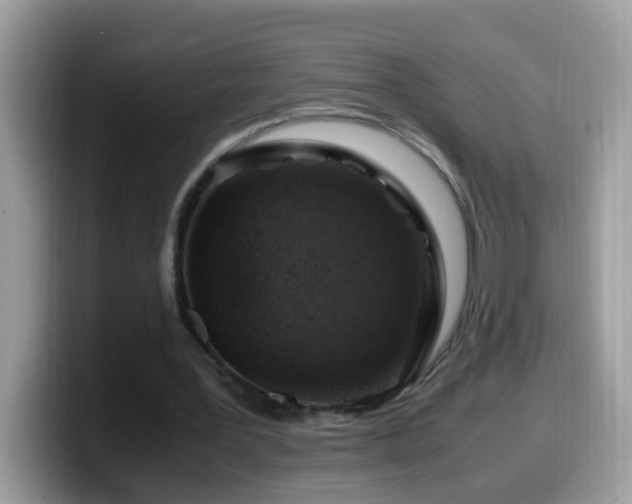 X0000099990387200805301417