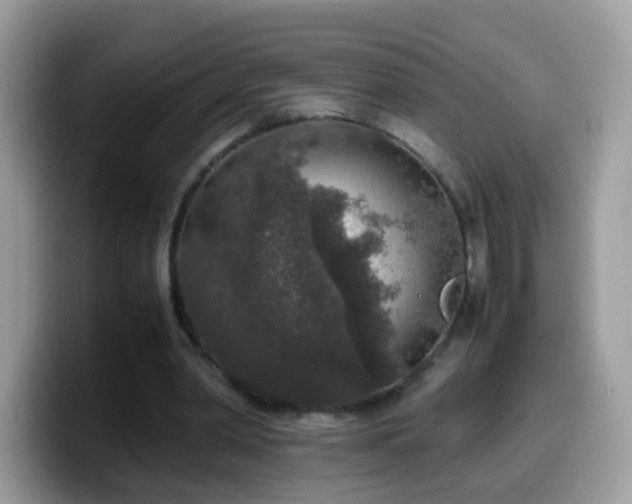 X0000099990390200805301417