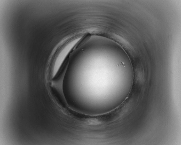 X0000099990392200805301417
