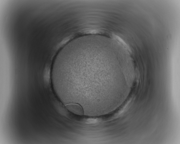 X0000099990394200805301417