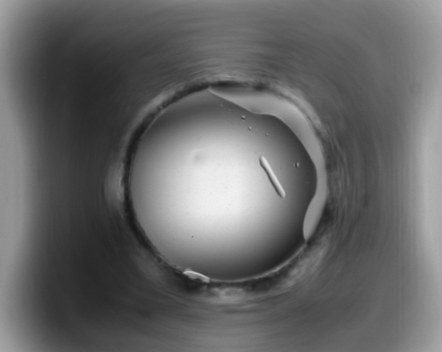 X0000099990395200805301417