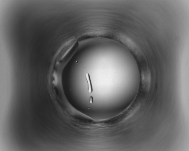 X0000099990396200805301417