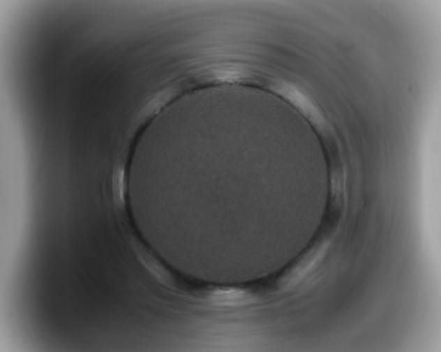 X0000099990397200805301417