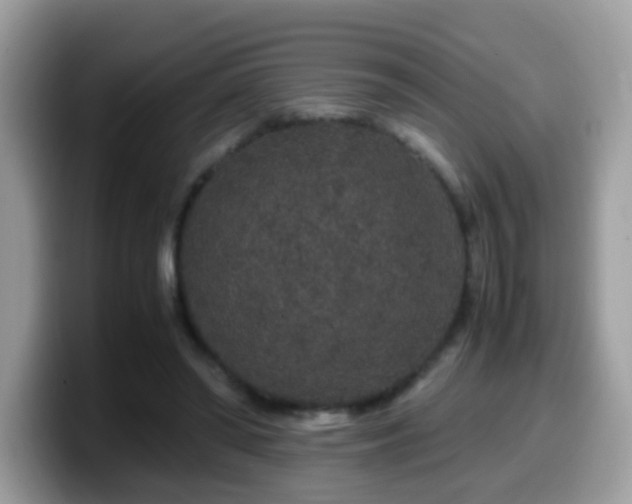 X0000099990398200805301417