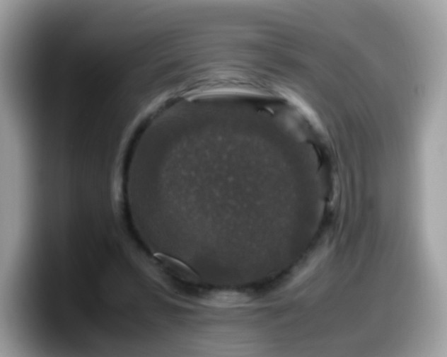 X0000099990399200805301417