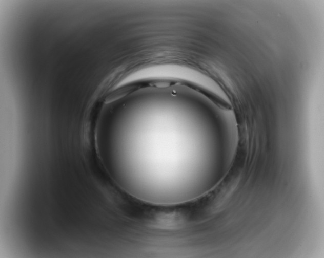 X0000099990400200805301417
