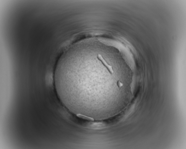 X0000099990401200805301417