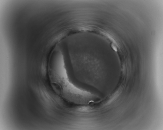 X0000099990402200805301417