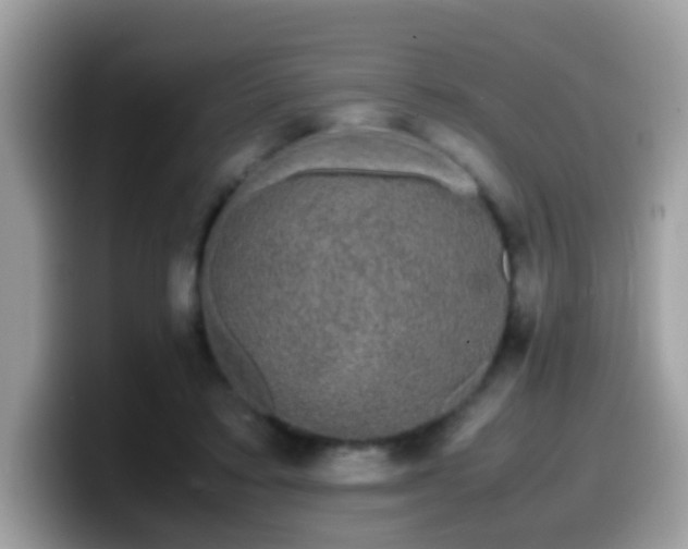 X0000099990403200805301417
