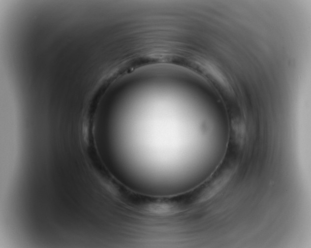 X0000099990404200805301417