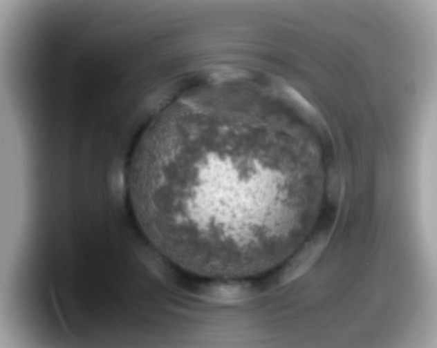 X0000099990405200805301417