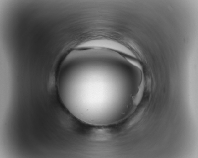 X0000099990407200805301417