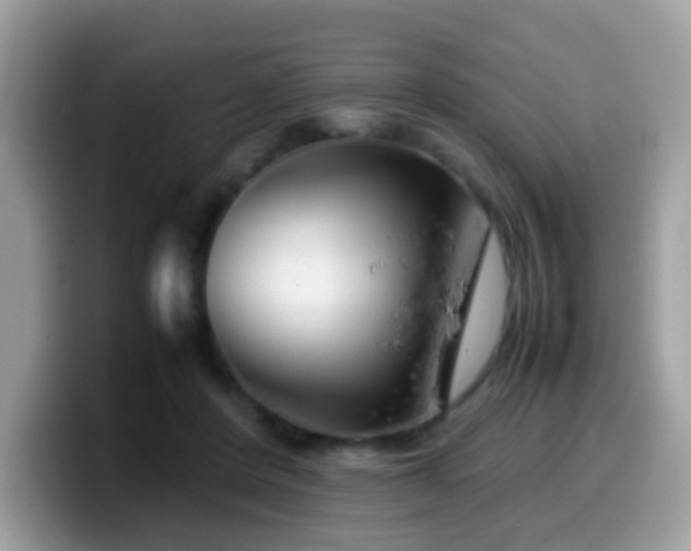 X0000099990408200805301417