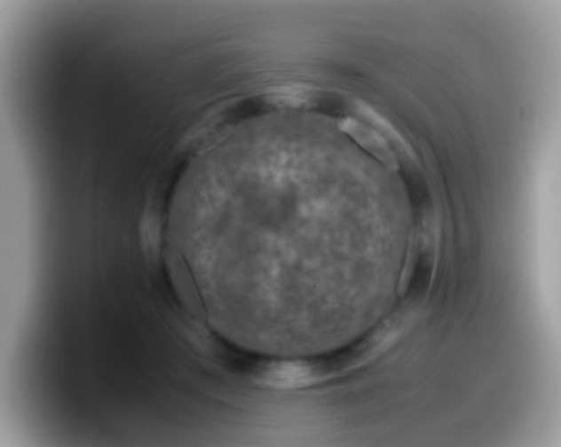 X0000099990409200805301417