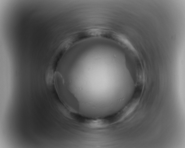 X0000099990411200805301417