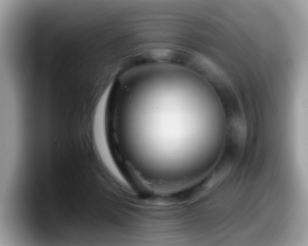 X0000099990412200805301417