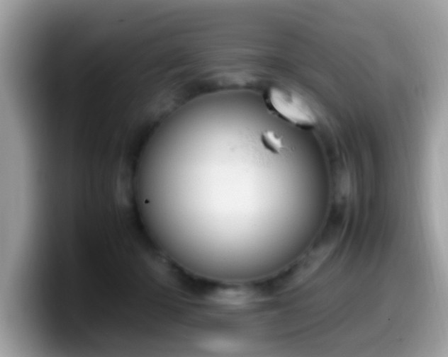 X0000099990414200805301417