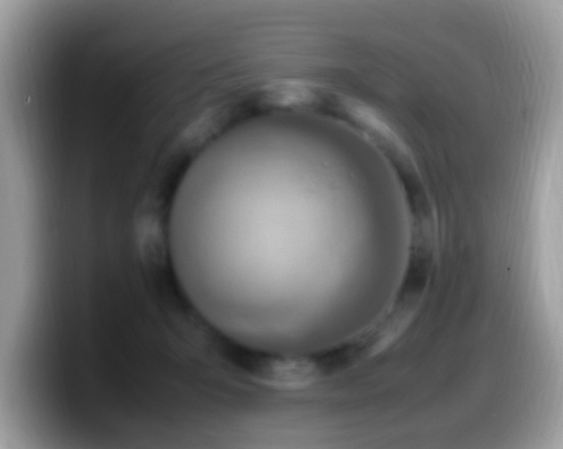 X0000099990415200805301417