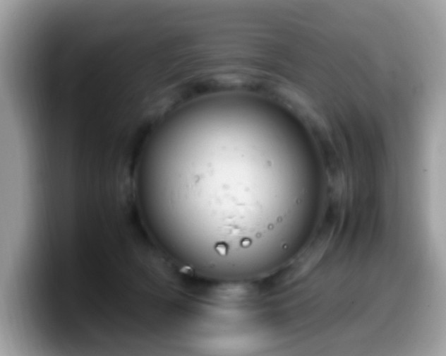 X0000099990418200805301417