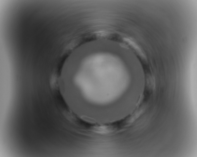 X0000099990419200805301417