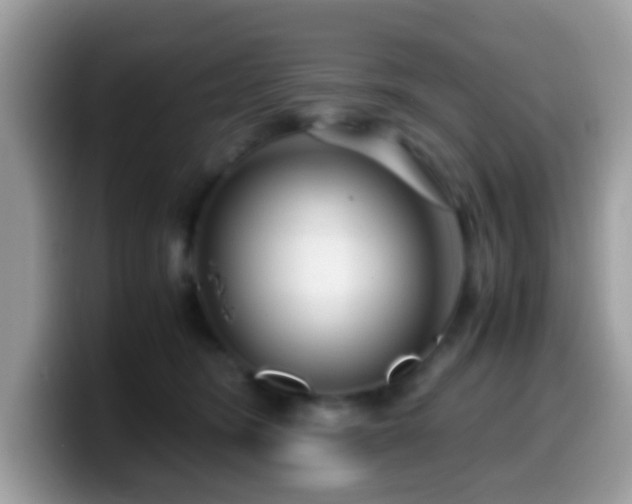 X0000099990420200805301417