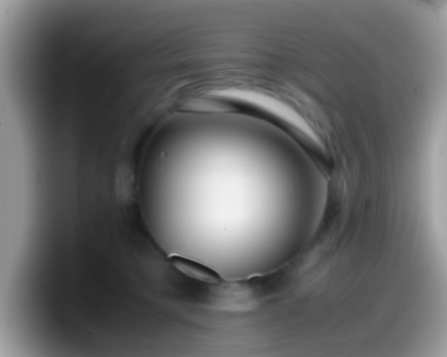 X0000099990421200805301417