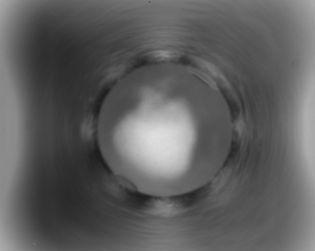 X0000099990423200805301417