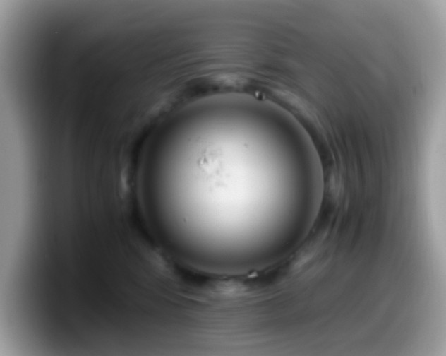 X0000099990424200805301417
