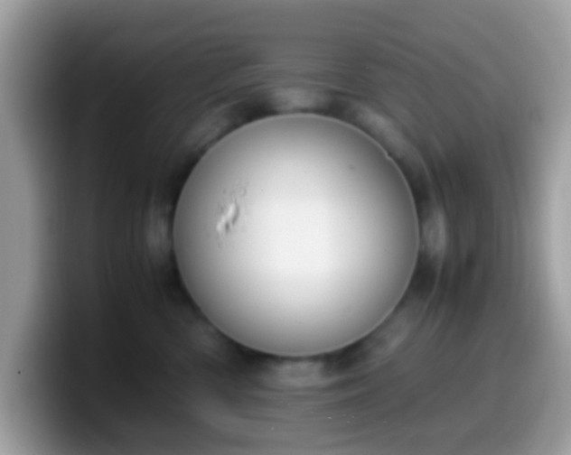 X0000099990426200805301417