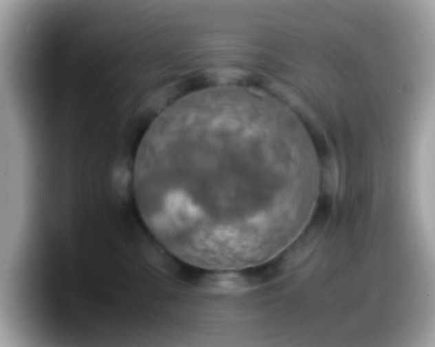 X0000099990427200805301417