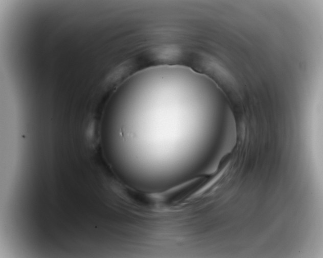 X0000099990428200805301417