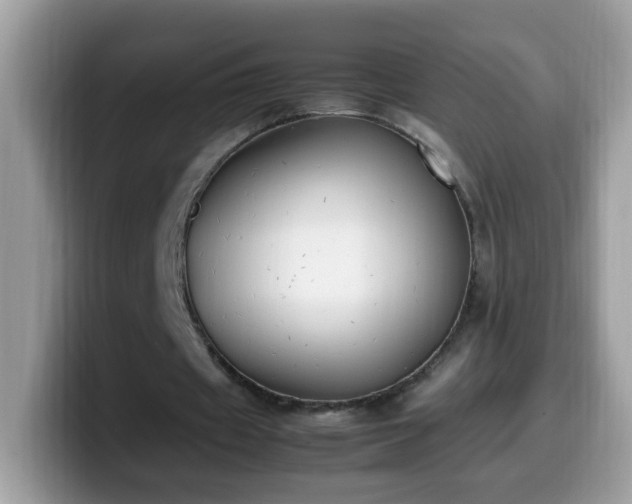 X0000099990433200805301416