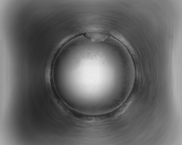 X0000099990434200805301416