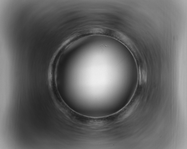 X0000099990435200805301416