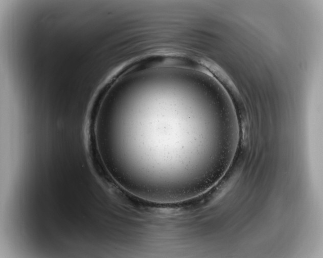 X0000099990436200805301416