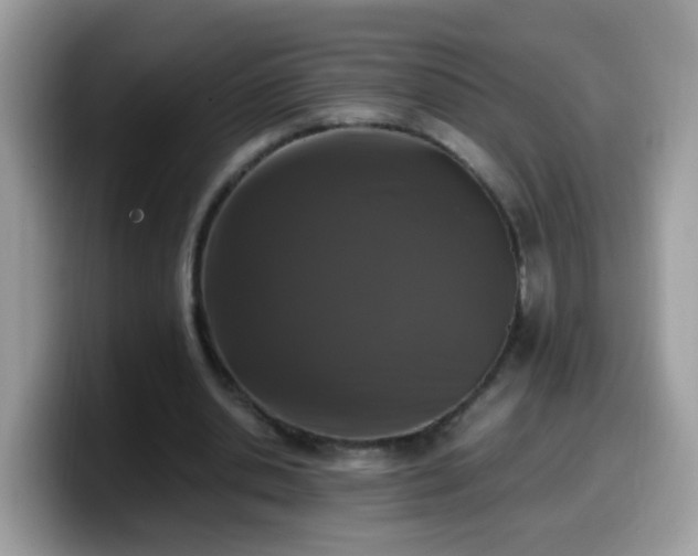 X0000099990438200805301416