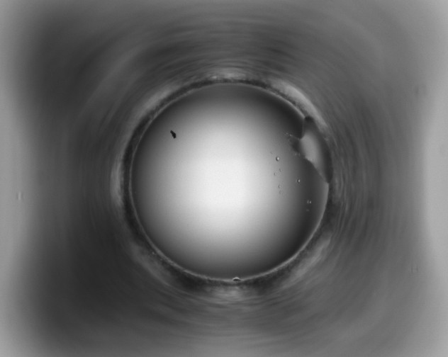 X0000099990439200805301416
