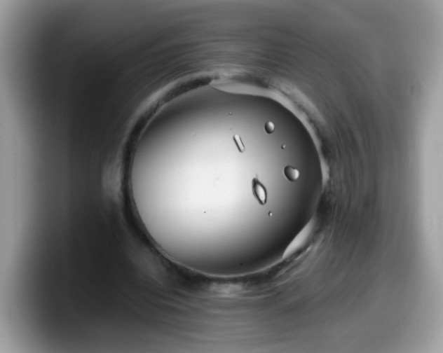 X0000099990440200805301416