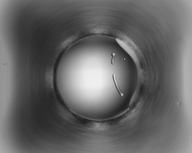 X0000099990442200805301416