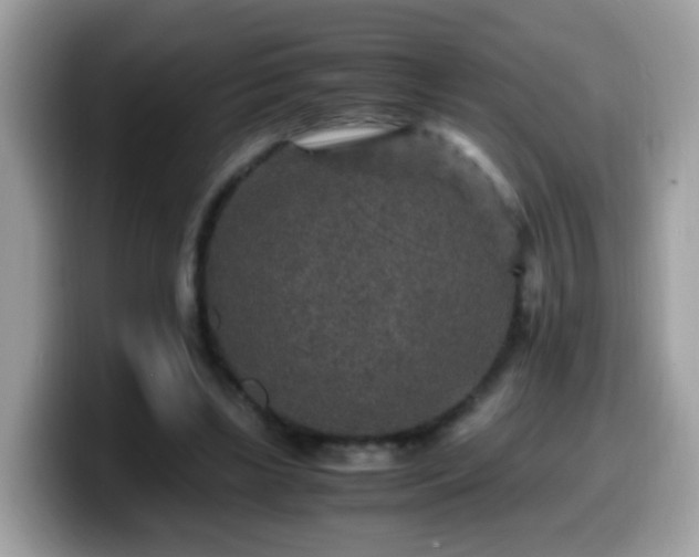 X0000099990443200805301416